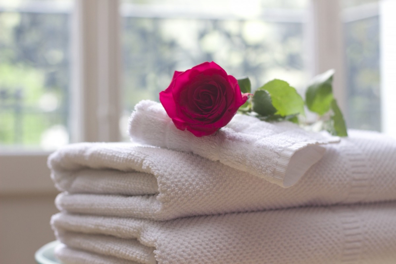 hotel-REVEST LES ROCHES-min_towel_rose_clean_care_salon_spa_white_bath-731641